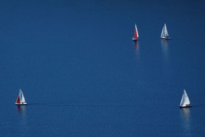 High angle view of sailboats on sea