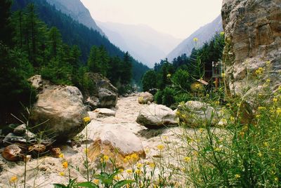 Scenic view of rocky mountains