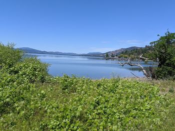 Scenic view of lake against clear sky