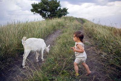 Baby boy playing in the field with a small goat