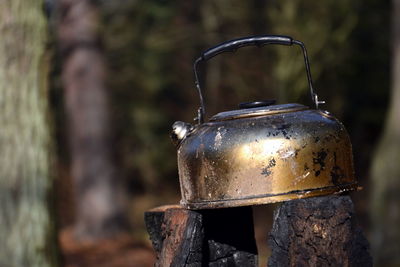 Close-up of old electric lamp on tree trunk