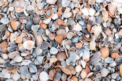 large group of objects