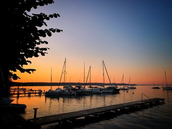 Sailboats moored in marina at sunset