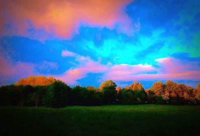 Scenic view of field against sky