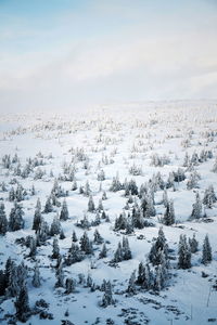 Scenic view of snow covered land against sky during winter