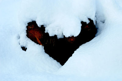 Close-up of snow on ice