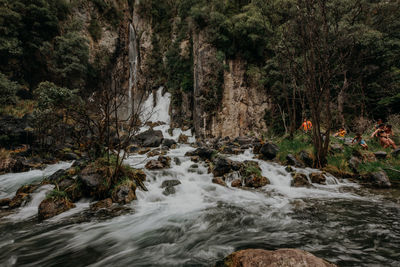 Stream flowing through rocks in forest