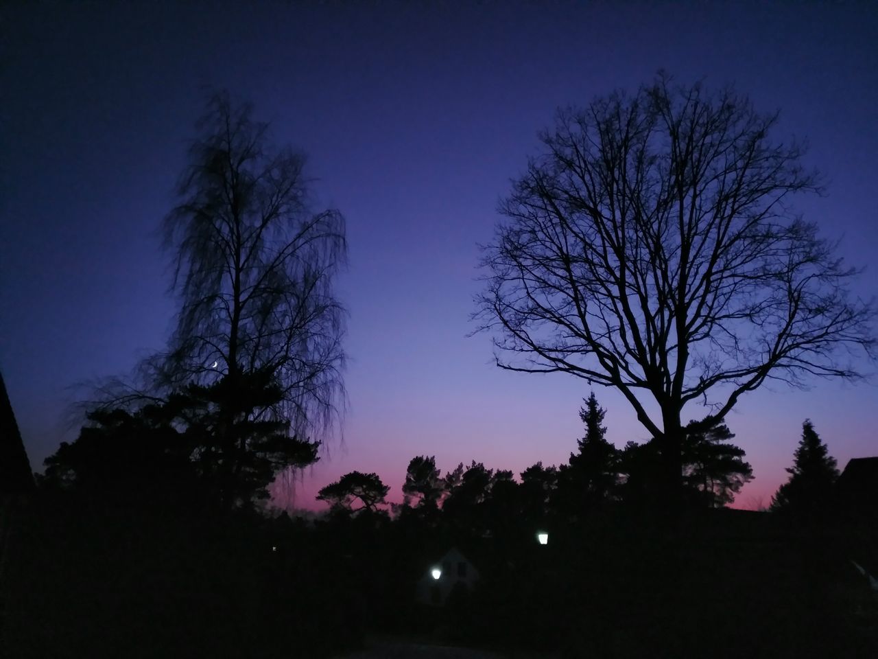 tree, moon, silhouette, night, nature, bare tree, beauty in nature, sky, tranquility, tranquil scene, scenics, outdoors, landscape, branch, no people, clear sky, low angle view, blue, astronomy