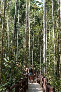 Rear view of people walking in forest