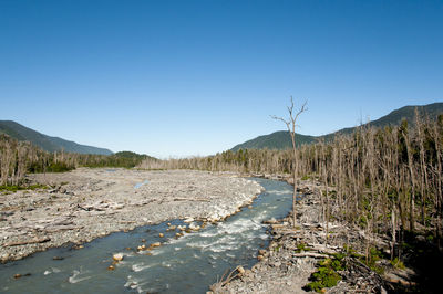 Stream by field against clear blue sky