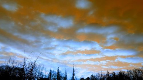 Low angle view of silhouette trees against dramatic sky