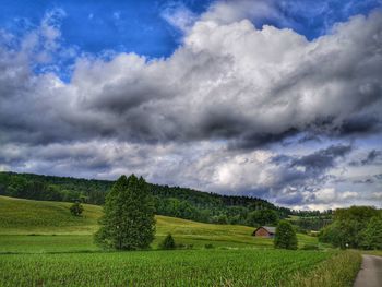 Scenic view of field against sky