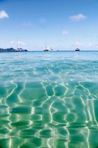 Sailboats in sea