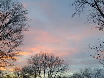 Low angle view of bare trees against sky