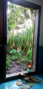 View of cat seen through window