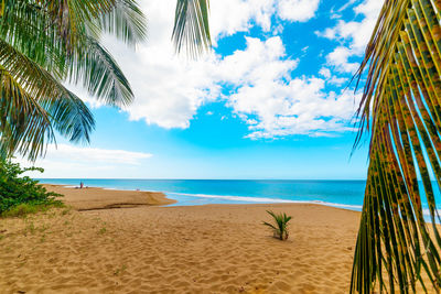 Scenic view of beach against sky