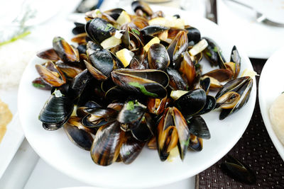 Close-up of clams in plate on table