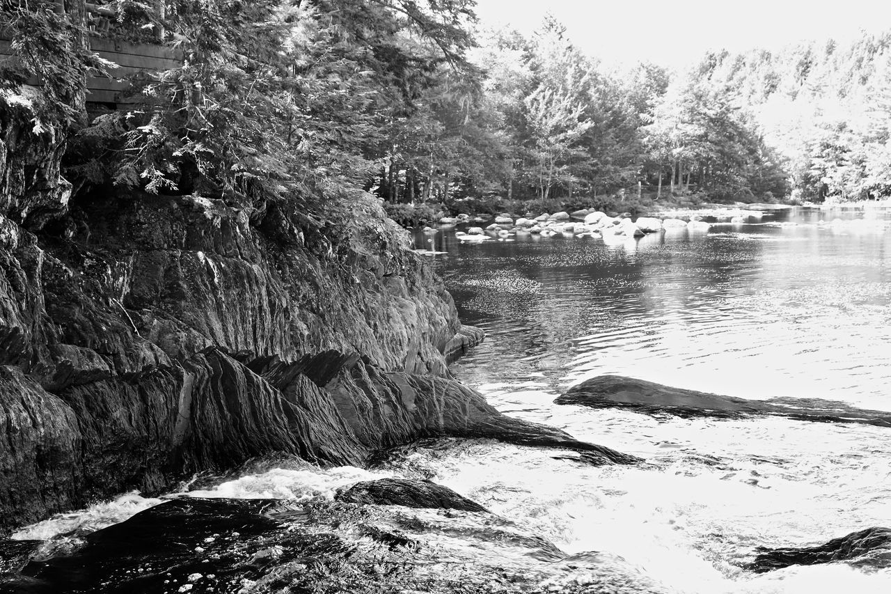 SCENIC VIEW OF WATERFALL