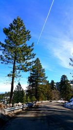 Road amidst trees against sky