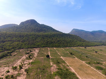 Scenic view of agricultural field against sky