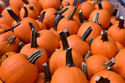 Pumpkins for sale at market stall