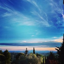 Silhouette of trees and sea against cloudy sky