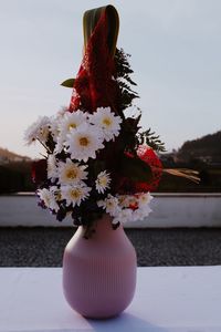 Close-up of red flower pot on plant against sky