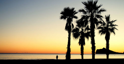 Silhouette of palm trees at sunset