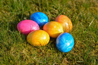 Close-up of multi colored eggs on grass
