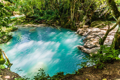 High angle view of waterfall in forest