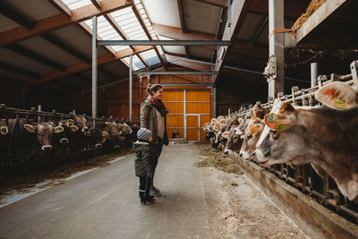 Mom and child looking at cows in barn in winter