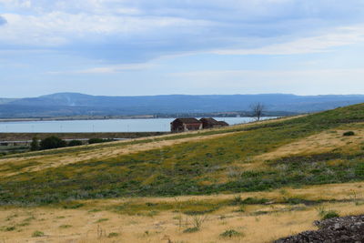 Scenic view of field against sky