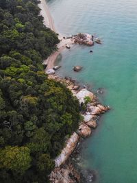 High angle view of sea and trees