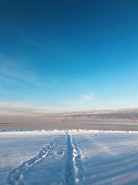 Cropped image of airplane wing against sky