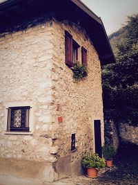 Ivy growing on house