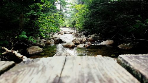 Stream flowing through rocks in forest