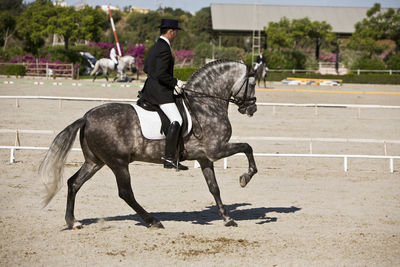 Men riding horse