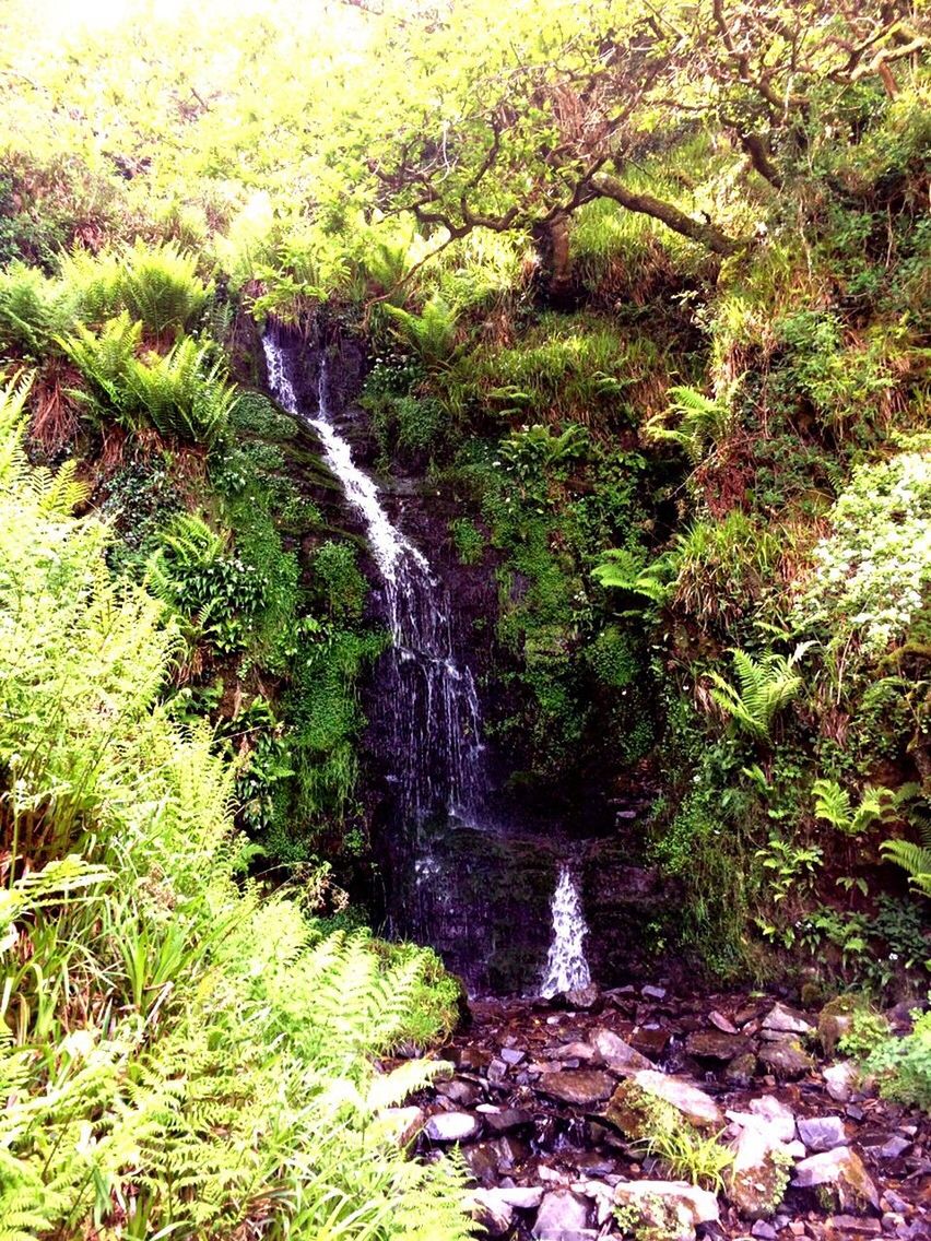 SCENIC VIEW OF WATERFALL