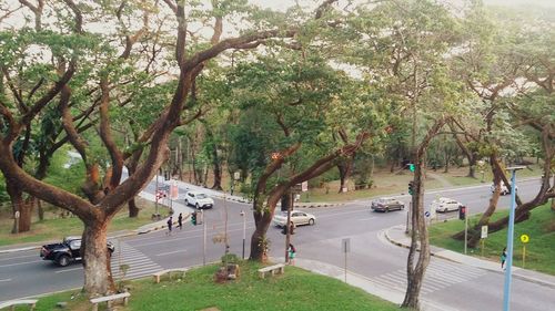 High angle view of vehicles on road in park