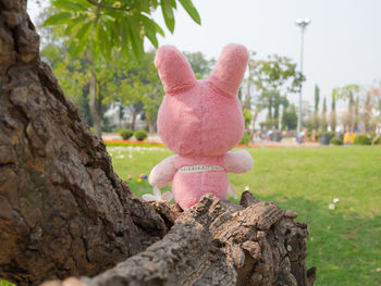 Close-up of stuffed toy on tree trunk