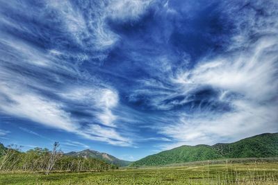 Scenic view of field against blue sky