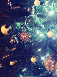 Illuminated christmas tree at night