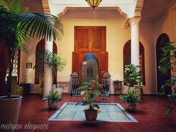 Potted plants on table against building