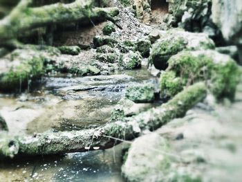 Close-up of water flowing through rocks