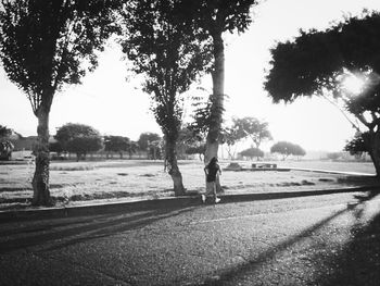 Road passing through trees