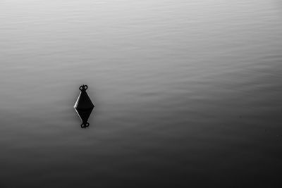 High angle view of person swimming in lake