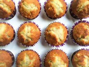 Close-up of cupcakes