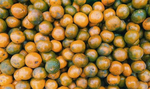 Local oranges for pandemic times