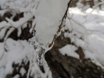 Close-up of ice crystals