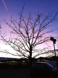 Low angle view of silhouette tree against sky at sunset